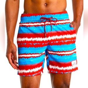 💥NWT💥 Beach Bros Acid Stripes Swim Trunks